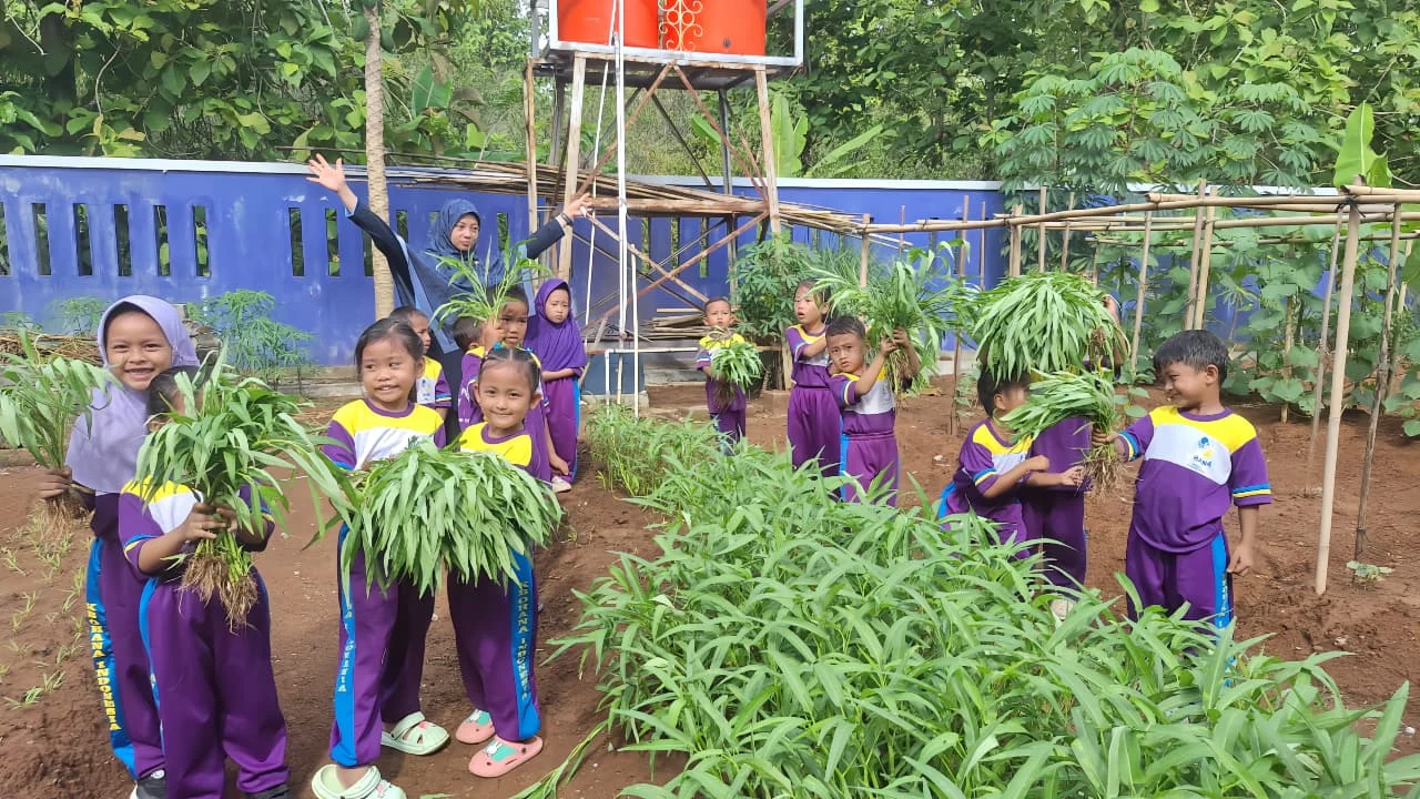 Harvesting (Panen di Kebun PAUD Ohana)