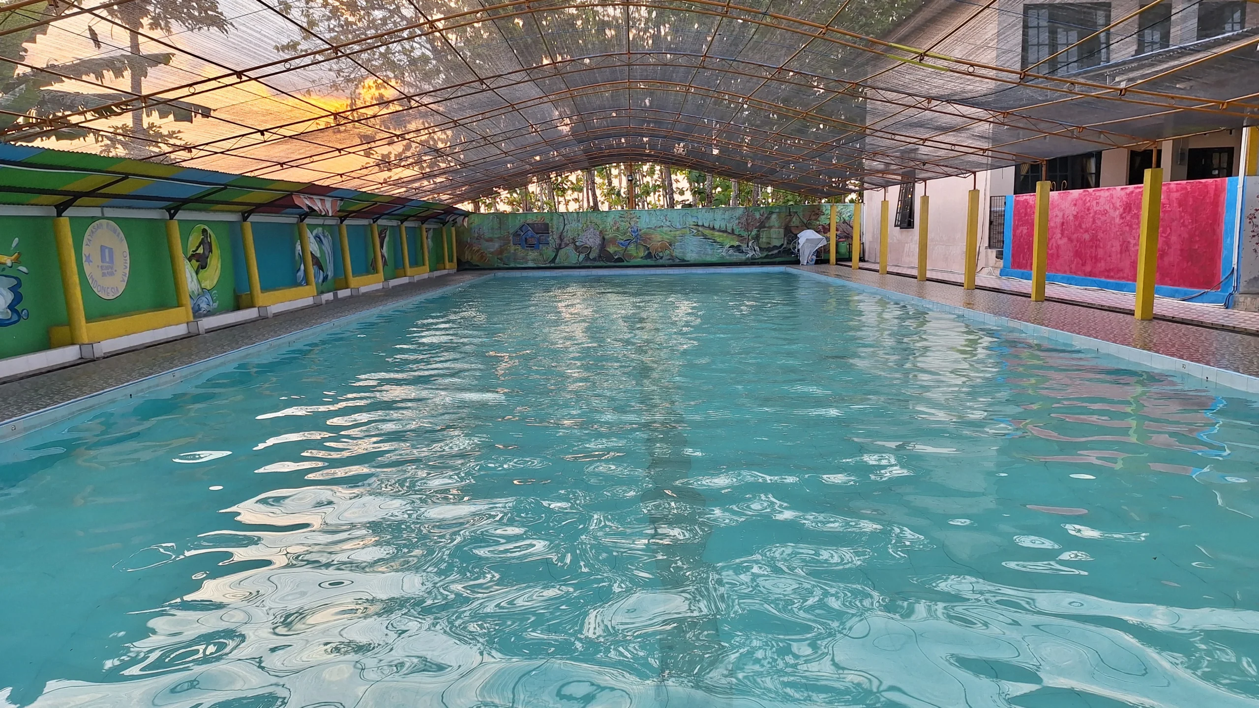 Adult Pool (Kolam Renang Dewasa)
