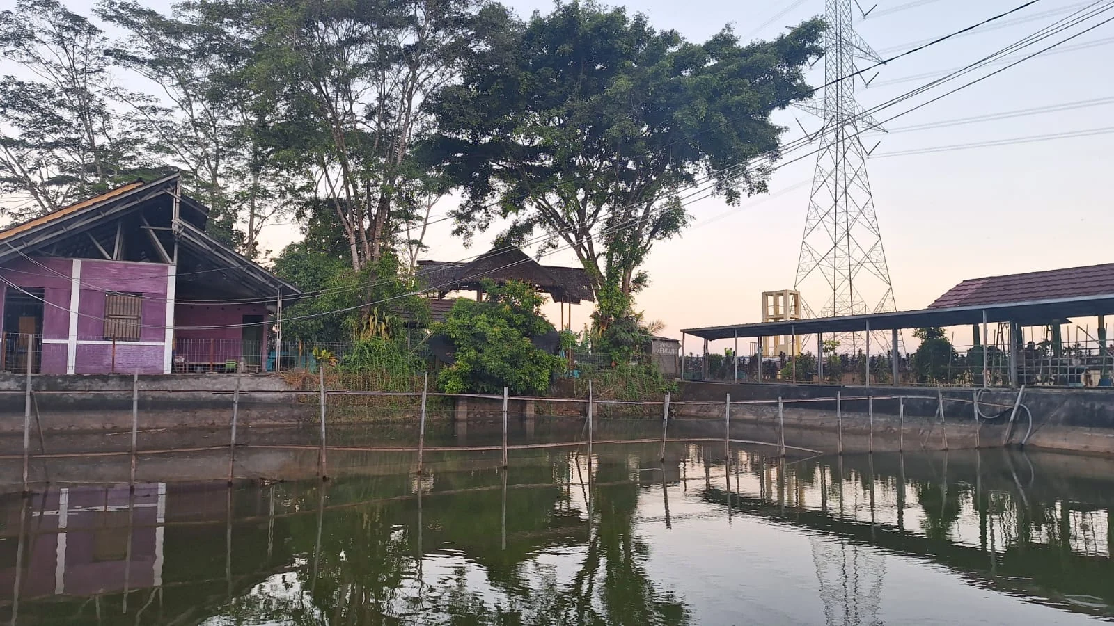 Shelter Pond (Empang)